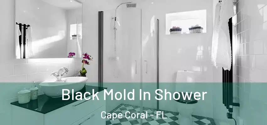 Black Mold In Shower Cape Coral - FL