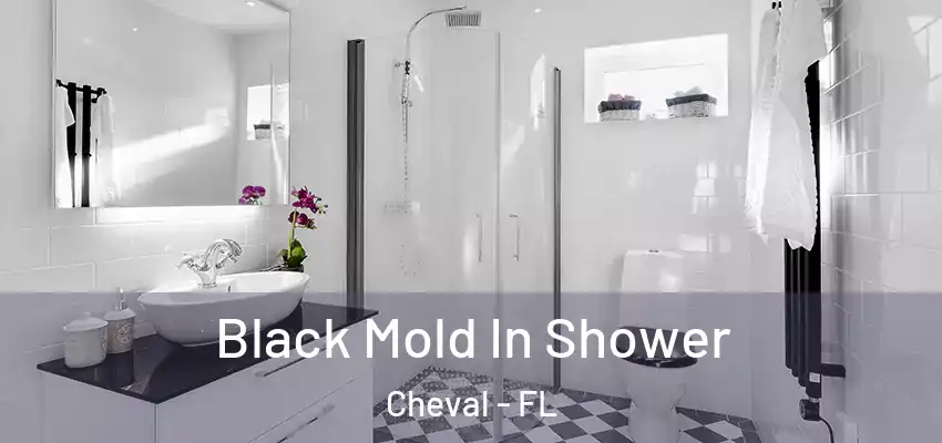 Black Mold In Shower Cheval - FL