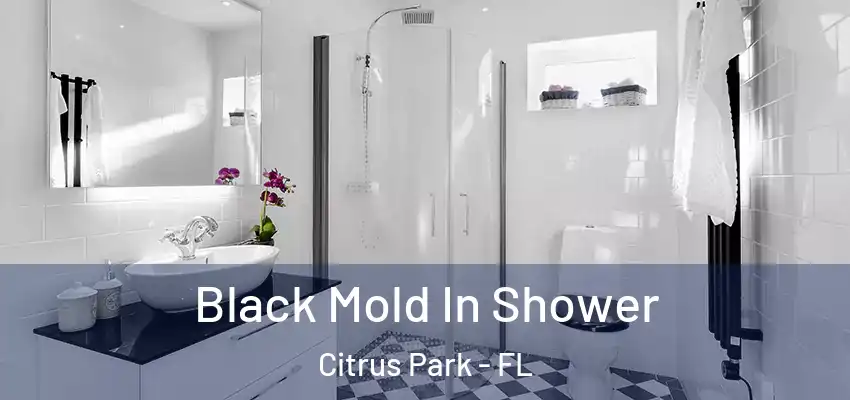  Black Mold In Shower Citrus Park - FL