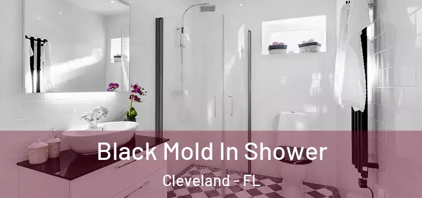  Black Mold In Shower Cleveland - FL