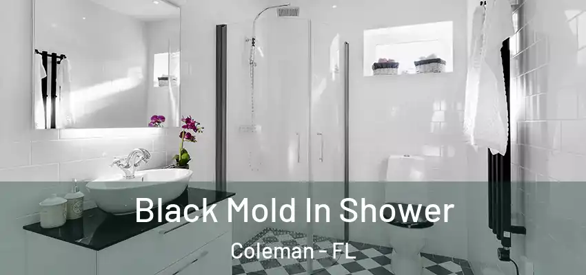 Black Mold In Shower Coleman - FL
