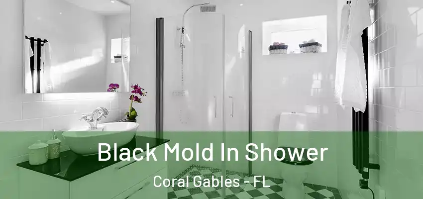 Black Mold In Shower Coral Gables - FL