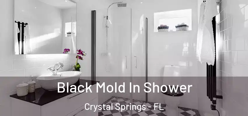  Black Mold In Shower Crystal Springs - FL