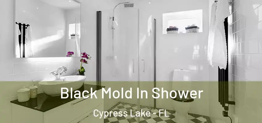 Black Mold In Shower Cypress Lake - FL