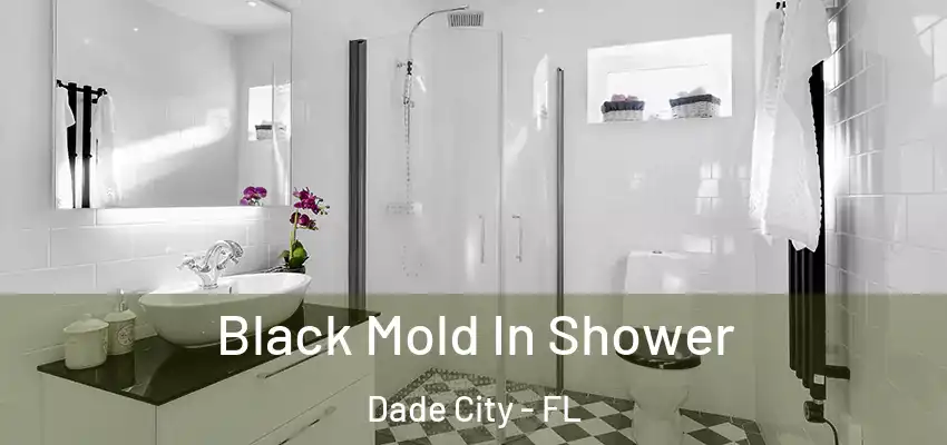  Black Mold In Shower Dade City - FL