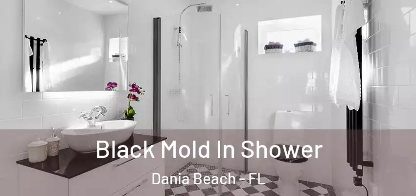  Black Mold In Shower Dania Beach - FL
