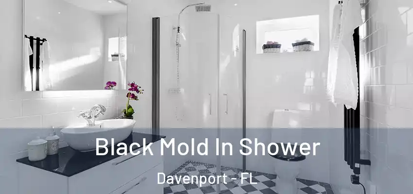  Black Mold In Shower Davenport - FL