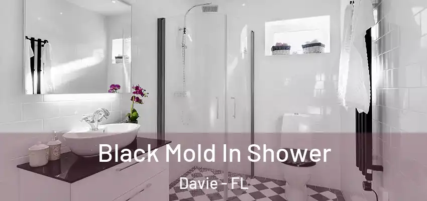 Black Mold In Shower Davie - FL
