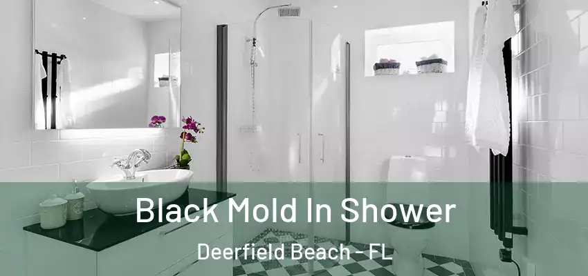  Black Mold In Shower Deerfield Beach - FL