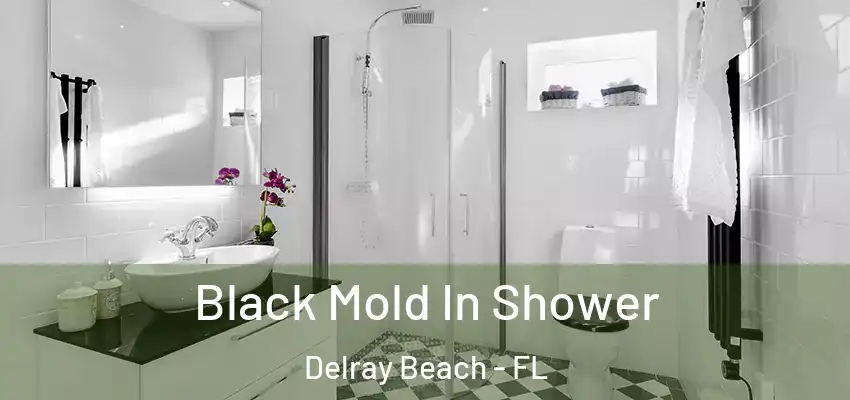  Black Mold In Shower Delray Beach - FL