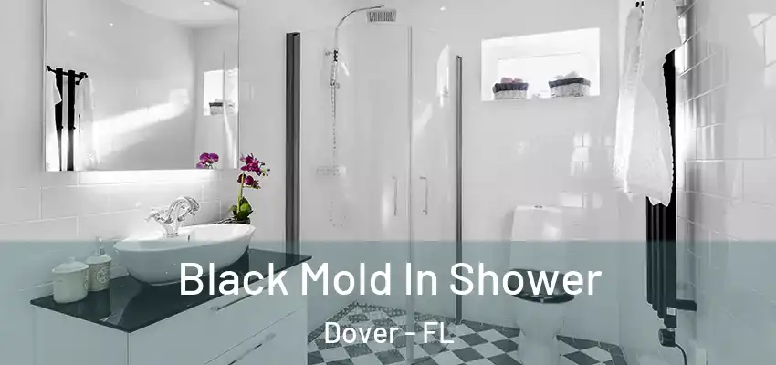  Black Mold In Shower Dover - FL