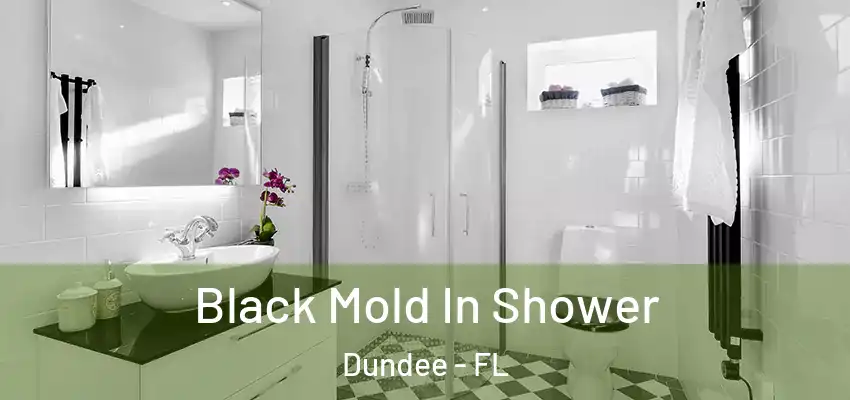 Black Mold In Shower Dundee - FL