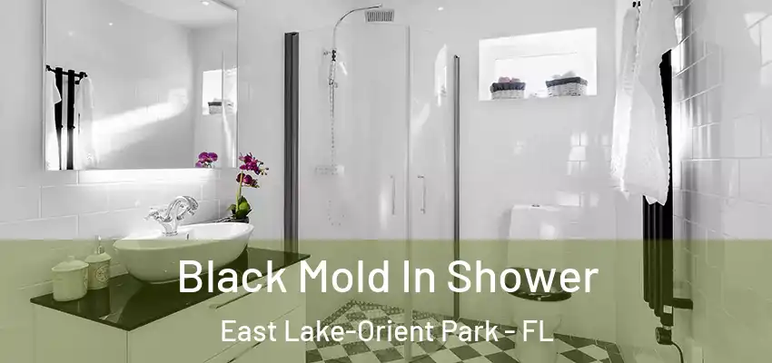 Black Mold In Shower East Lake-Orient Park - FL