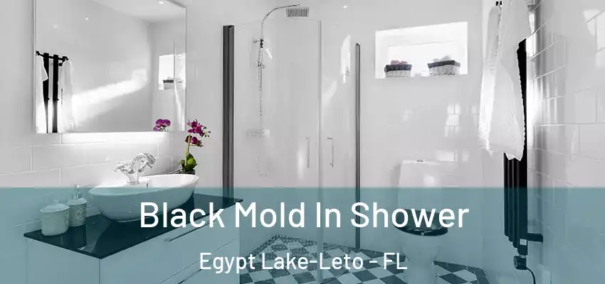 Black Mold In Shower Egypt Lake-Leto - FL