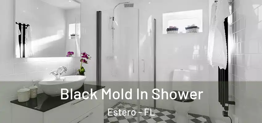  Black Mold In Shower Estero - FL