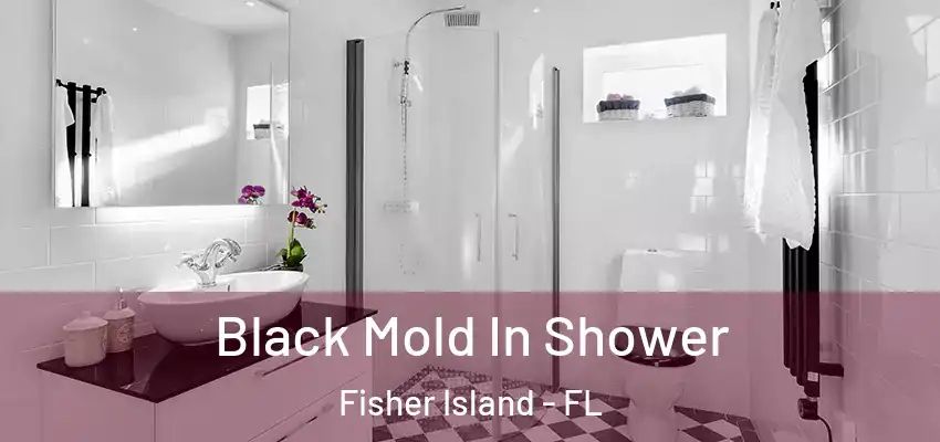 Black Mold In Shower Fisher Island - FL