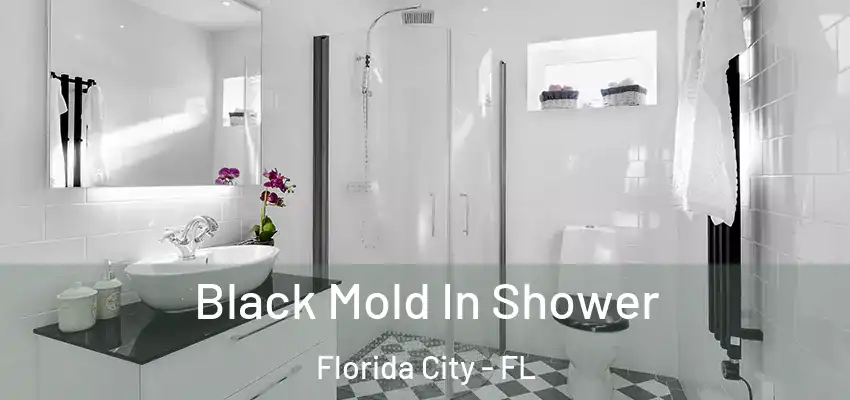  Black Mold In Shower Florida City - FL