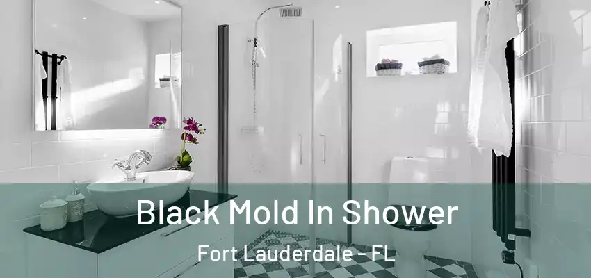 Black Mold In Shower Fort Lauderdale - FL