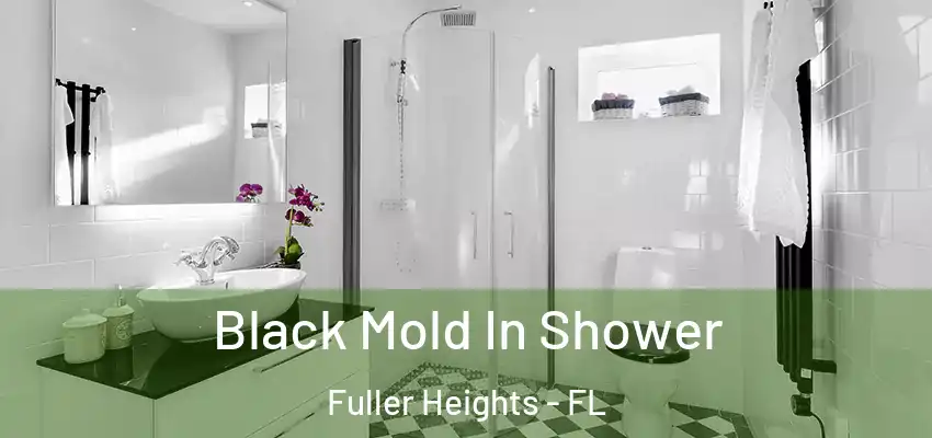 Black Mold In Shower Fuller Heights - FL