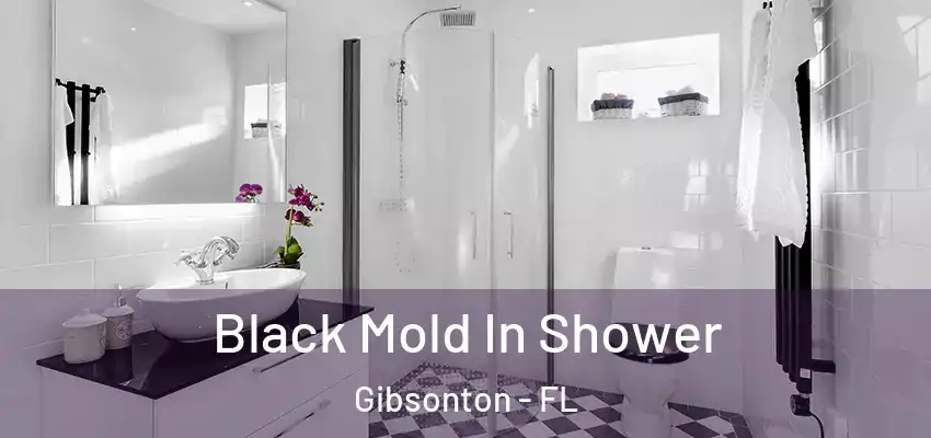 Black Mold In Shower Gibsonton - FL