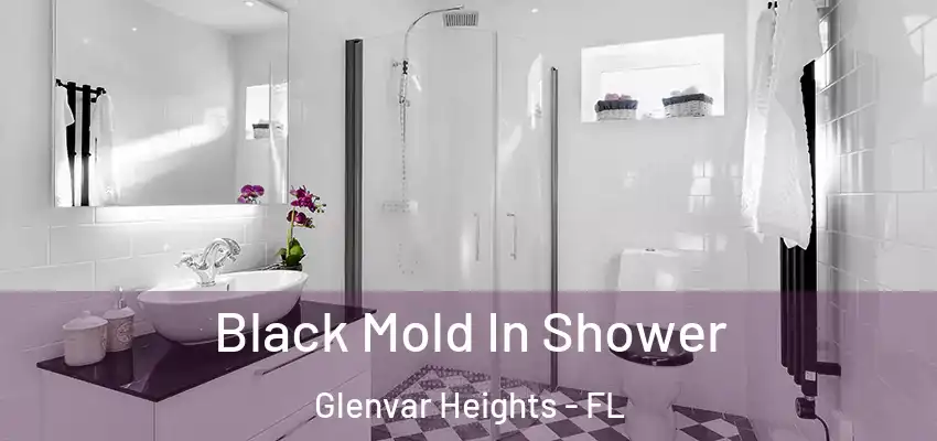 Black Mold In Shower Glenvar Heights - FL
