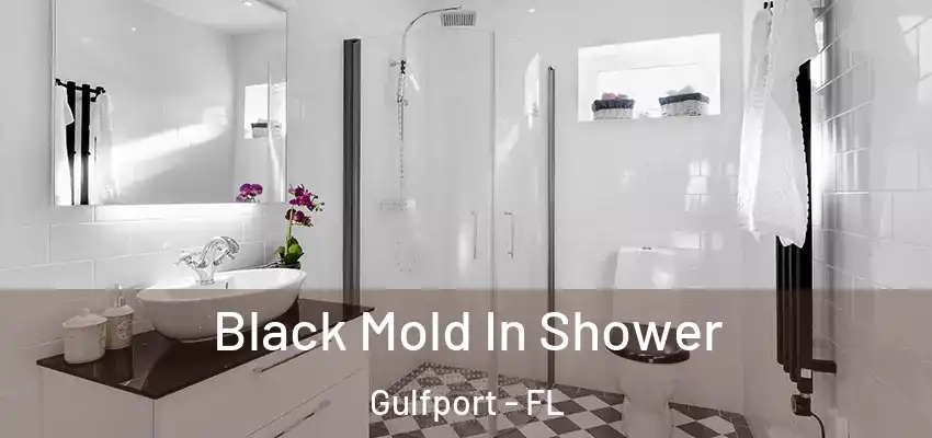 Black Mold In Shower Gulfport - FL