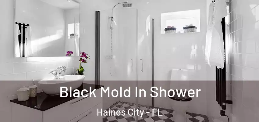 Black Mold In Shower Haines City - FL