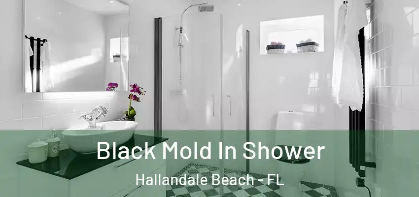  Black Mold In Shower Hallandale Beach - FL