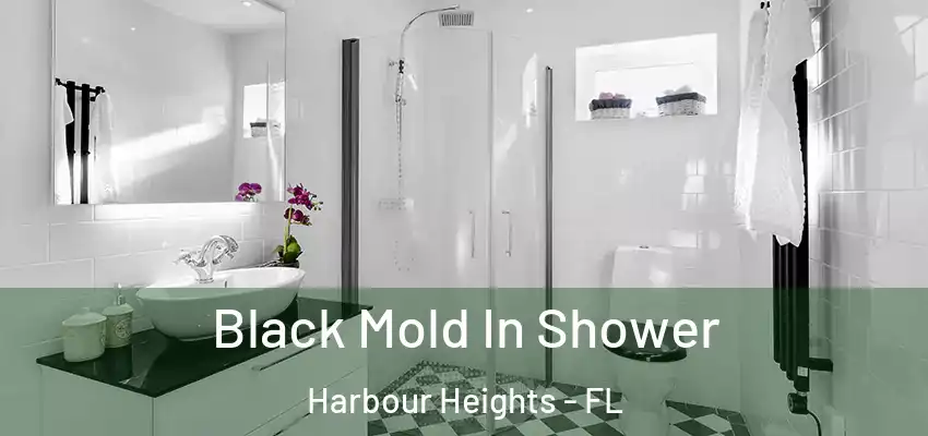 Black Mold In Shower Harbour Heights - FL