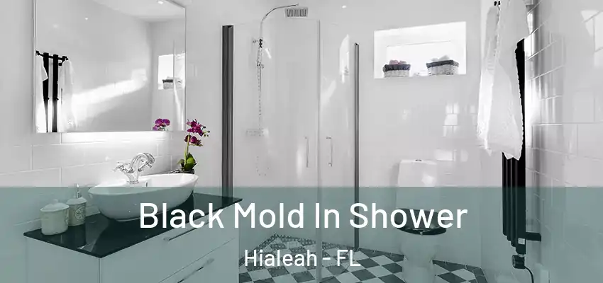 Black Mold In Shower Hialeah - FL