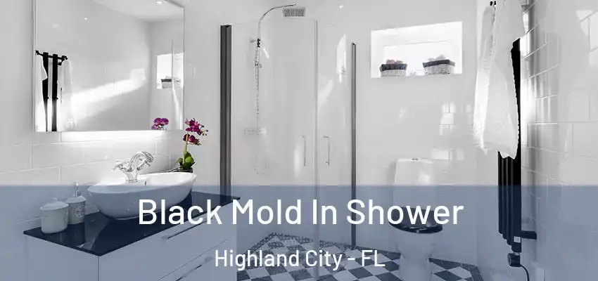  Black Mold In Shower Highland City - FL