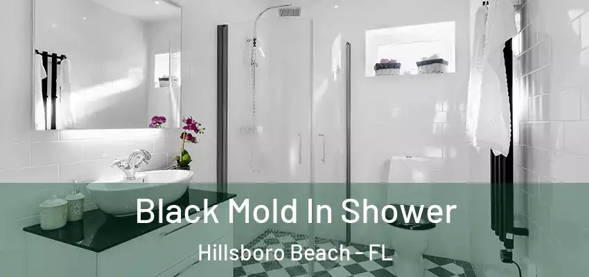 Black Mold In Shower Hillsboro Beach - FL