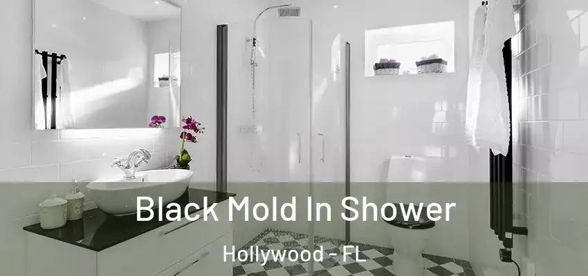 Black Mold In Shower Hollywood - FL