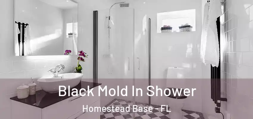  Black Mold In Shower Homestead Base - FL