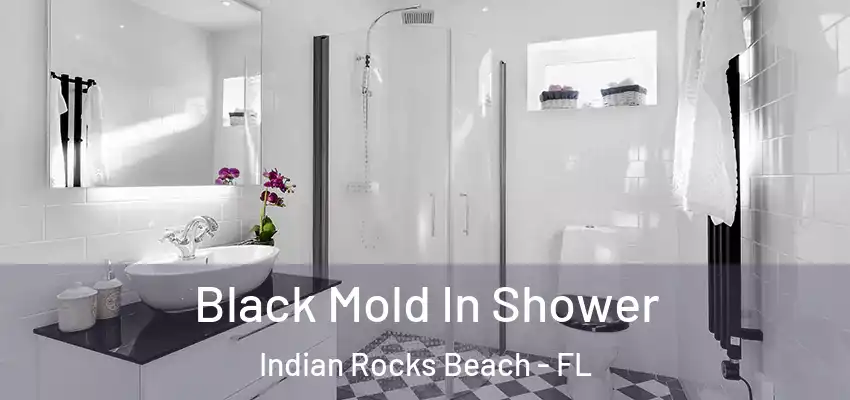 Black Mold In Shower Indian Rocks Beach - FL