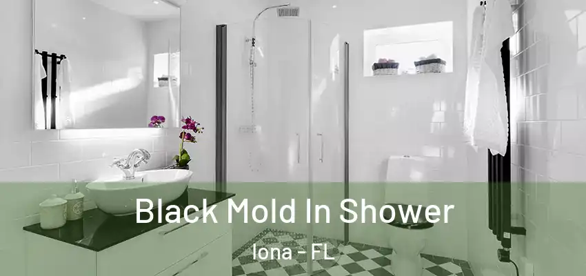  Black Mold In Shower Iona - FL