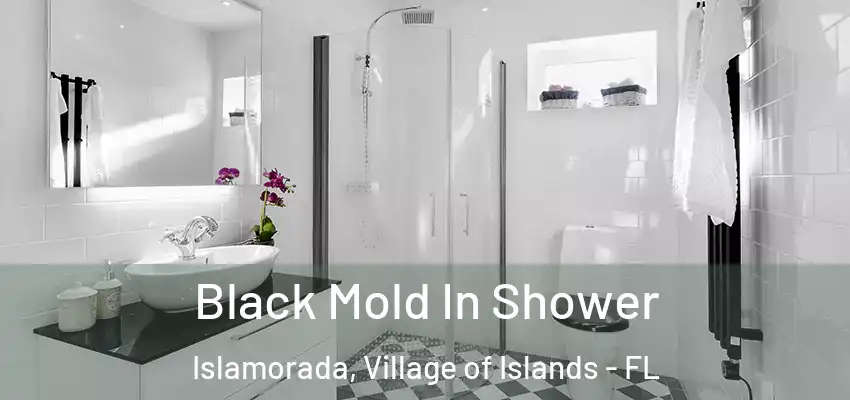 Black Mold In Shower Islamorada, Village of Islands - FL