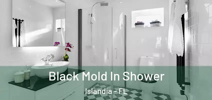 Black Mold In Shower Islandia - FL