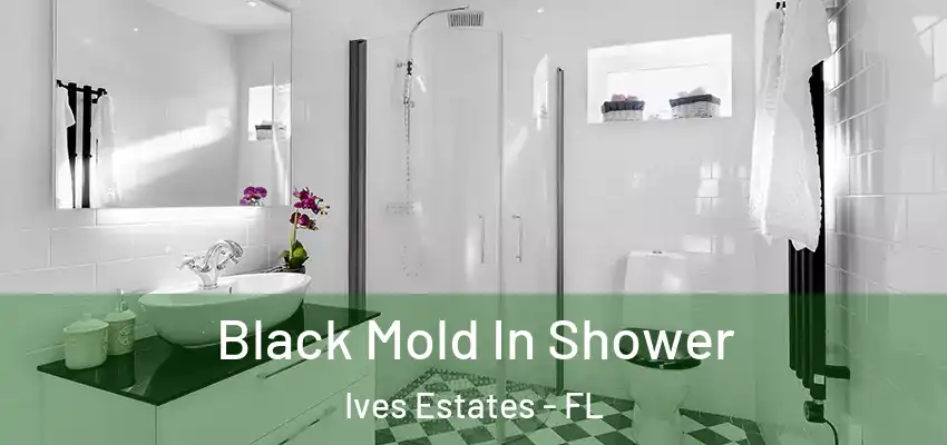  Black Mold In Shower Ives Estates - FL