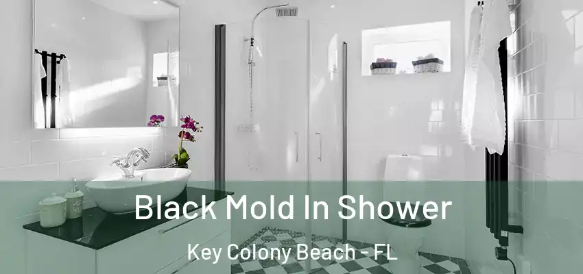 Black Mold In Shower Key Colony Beach - FL