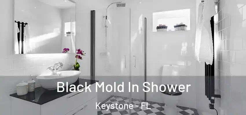 Black Mold In Shower Keystone - FL