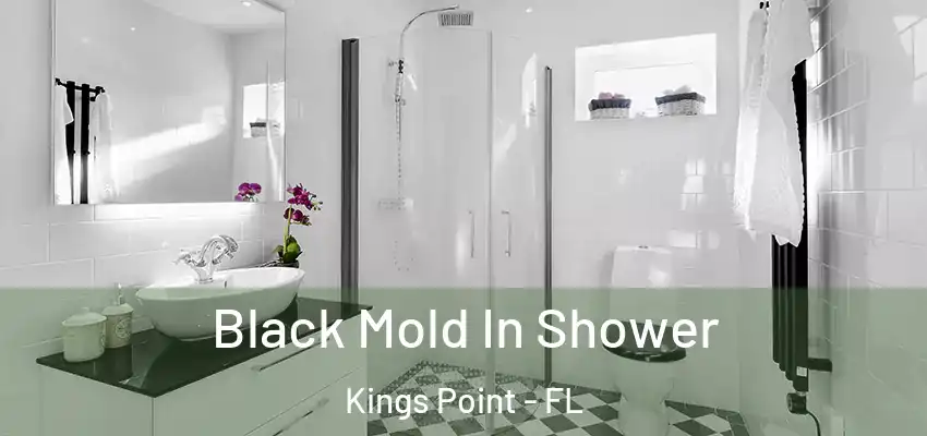  Black Mold In Shower Kings Point - FL