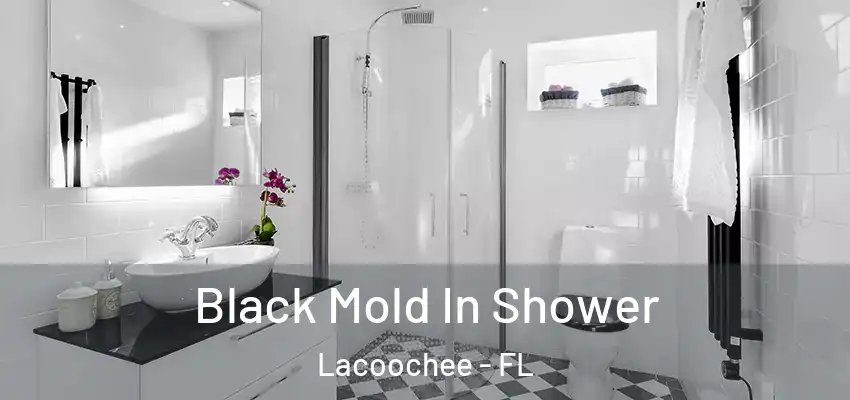  Black Mold In Shower Lacoochee - FL