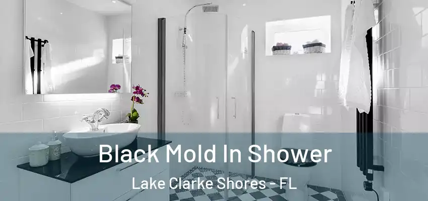 Black Mold In Shower Lake Clarke Shores - FL
