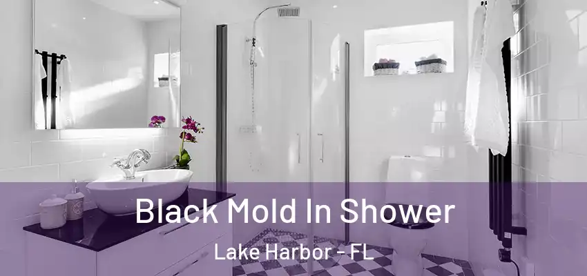  Black Mold In Shower Lake Harbor - FL