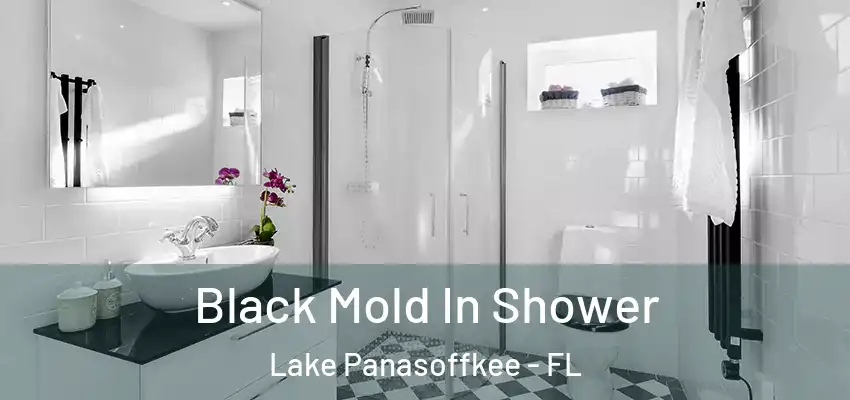 Black Mold In Shower Lake Panasoffkee - FL