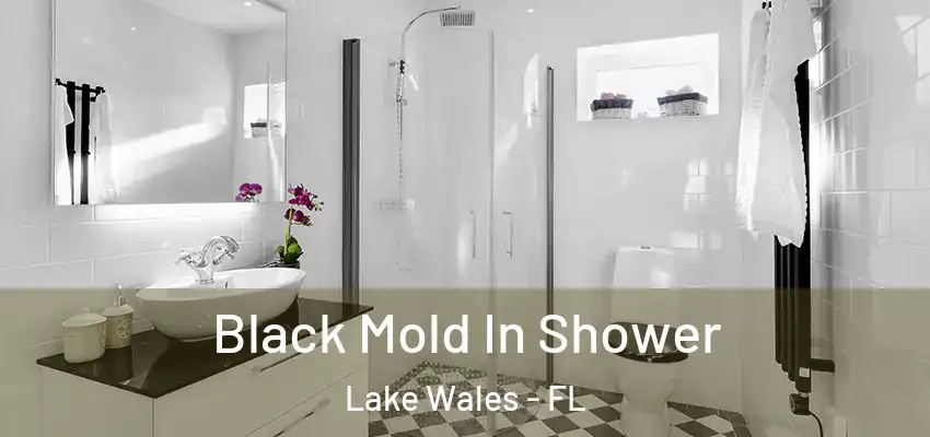  Black Mold In Shower Lake Wales - FL
