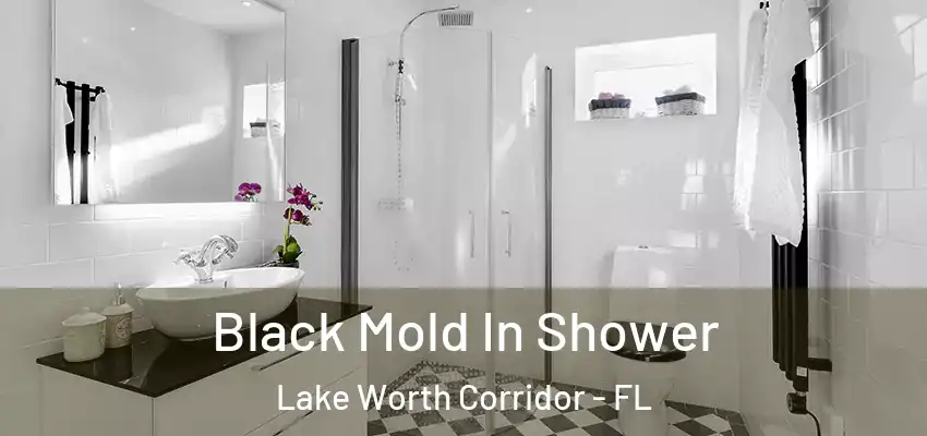 Black Mold In Shower Lake Worth Corridor - FL