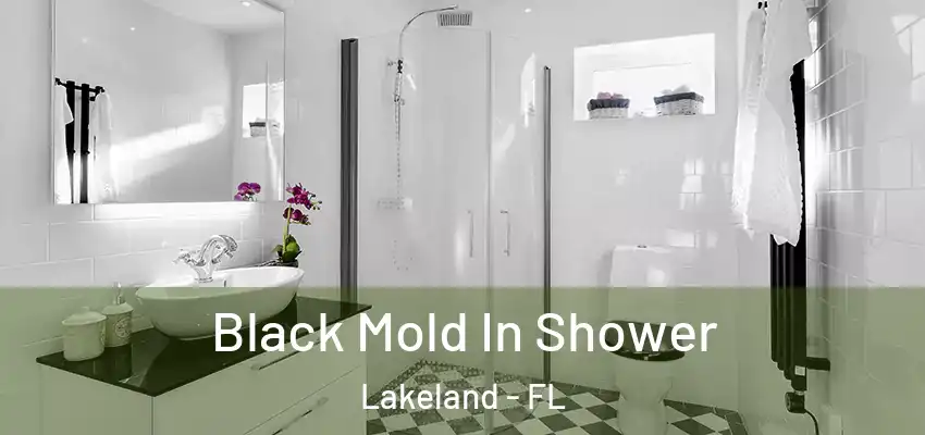  Black Mold In Shower Lakeland - FL
