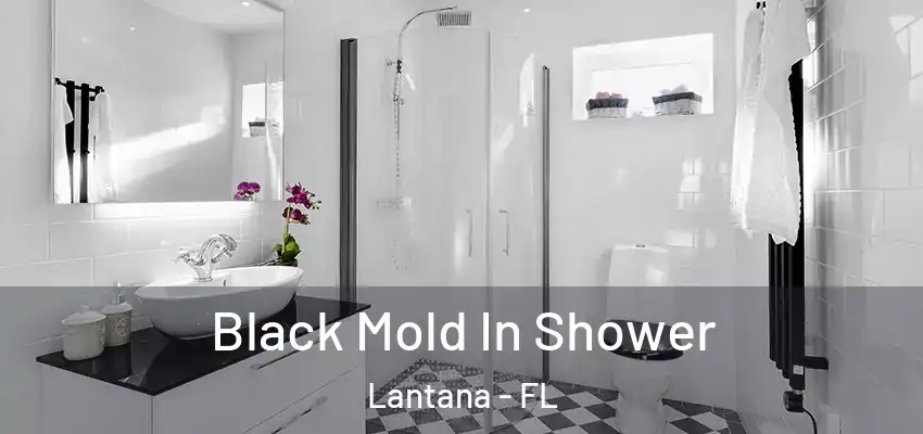  Black Mold In Shower Lantana - FL